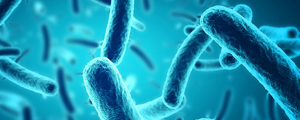 Bakteriyel Filtrasyon Verimliliği Testi Neden Yapılır?